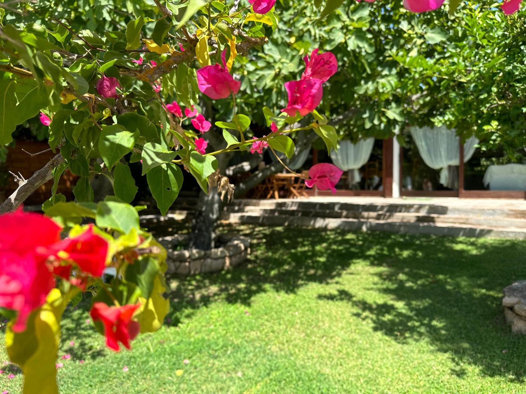 Villa Niloan Olbia Extérieur photo