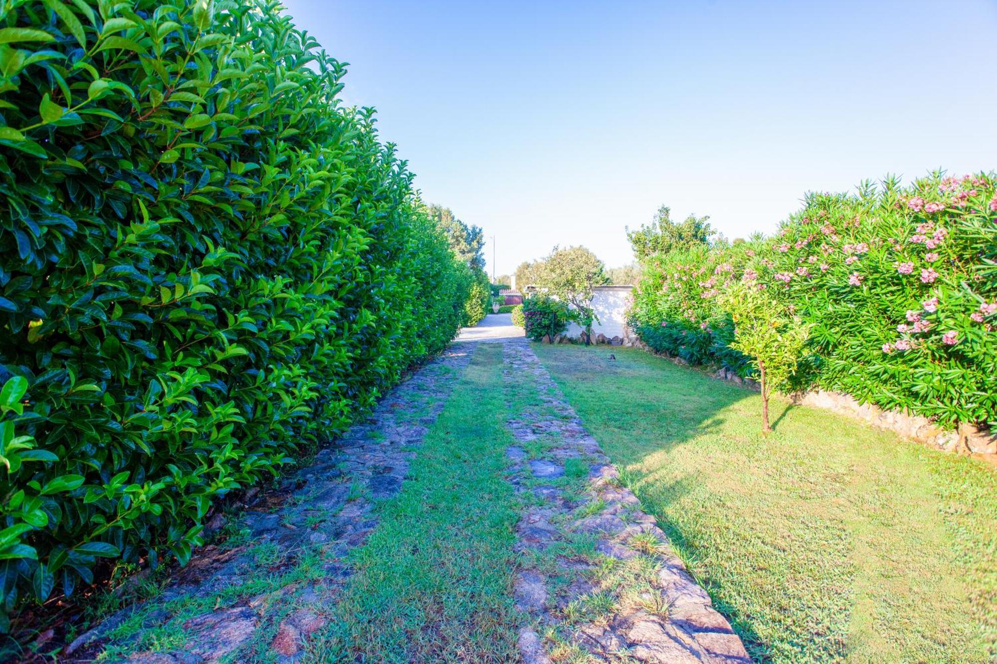 Villa Niloan Olbia Extérieur photo
